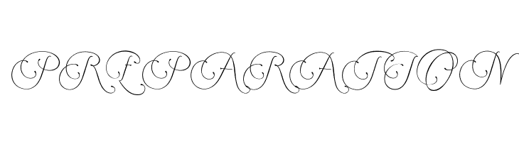 Encina Script 2 PERSONAL USE  Free Fonts Download