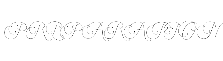 Encina Script 1 PERSONAL USE  Free Fonts Download