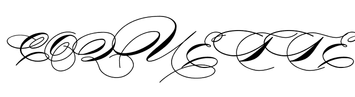 Mike Ferrari_16017 Regular  Free Fonts Download