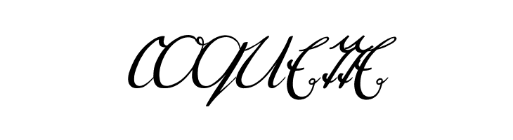 Selya  Free Fonts Download