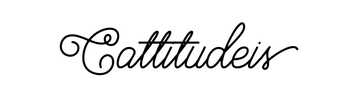 BraydenScript  Free Fonts Download