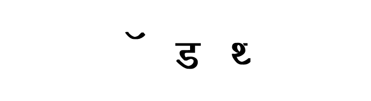 Richa Bold  Free Fonts Download