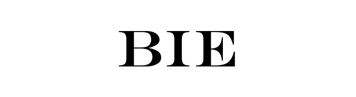 Engry  Free Fonts Download