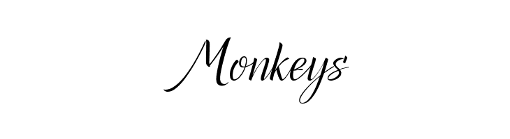 Canela Bark Personal Use  Free Fonts Download