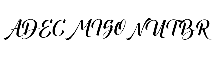 Canela Bark Bold Personal Use  Free Fonts Download