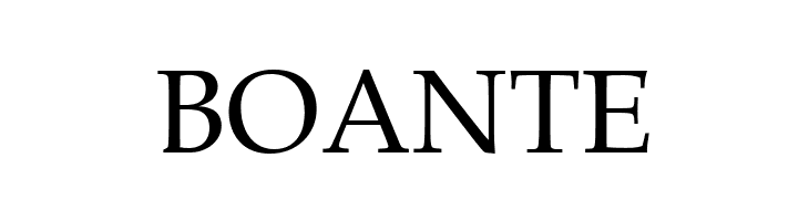 .VnBook AntiquaH  Free Fonts Download