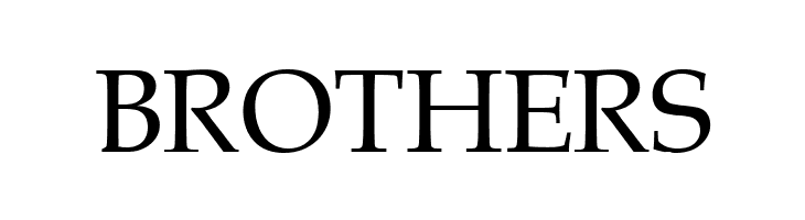 .VnBook AntiquaH  Free Fonts Download