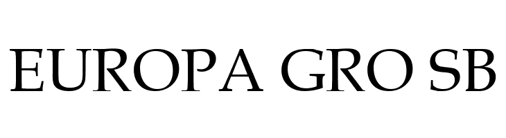 .VnBook AntiquaH  Free Fonts Download