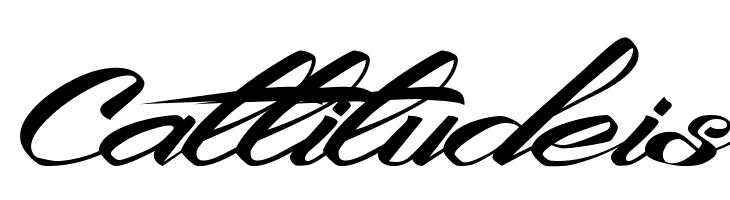 King City Free Font  Free Fonts Download