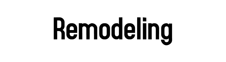 Accidental Presidency  Free Fonts Download