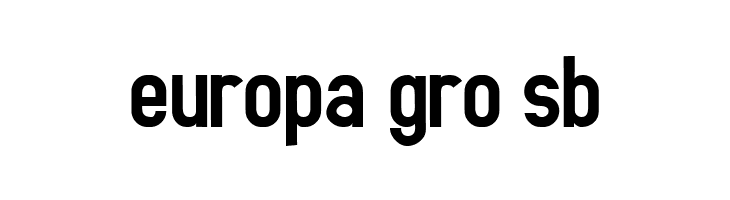 Accidental Presidency  Free Fonts Download