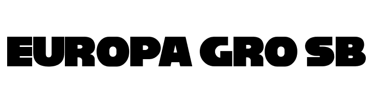 Reisenberg 2.0  Free Fonts Download
