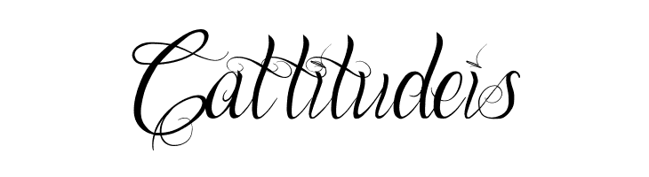 One Chance Regular  Free Fonts Download