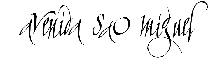 cAlLiGrApHuNk  Free Fonts Download