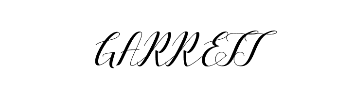 VellesaScript  Free Fonts Download