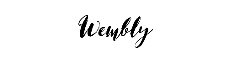 Magical Stylish Script Demo  Free Fonts Download