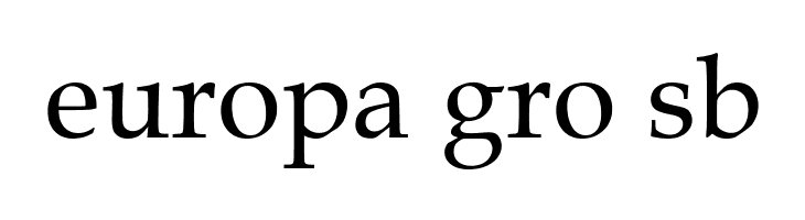 .VnBook Antiqua  Free Fonts Download