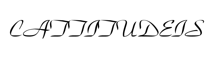 .VnParkH Medium  Free Fonts Download