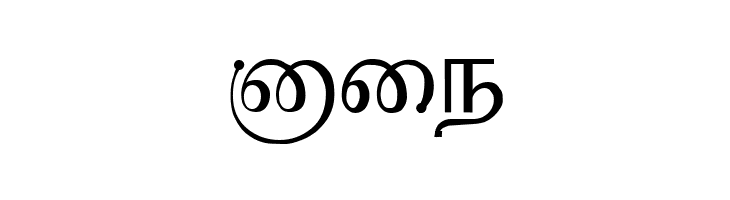 Kruti Tamil 010  Free Fonts Download