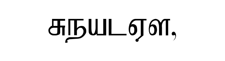 Kruti Tamil 010  Free Fonts Download