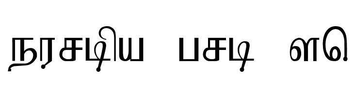 Kruti Tamil 010  Free Fonts Download
