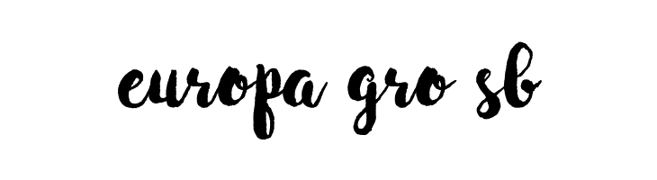 WinterBrushDemo  Free Fonts Download