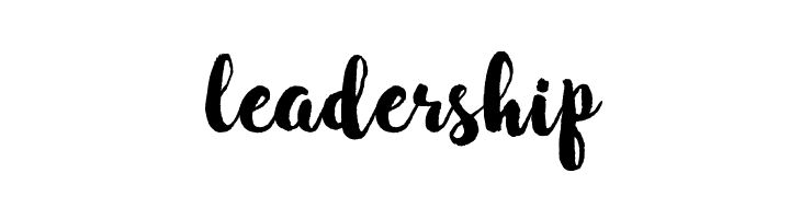 WinterBrushDemo  Free Fonts Download