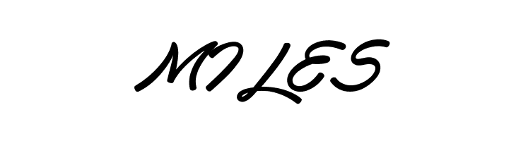 Haydon Brush PERSONAL USE  Free Fonts Download