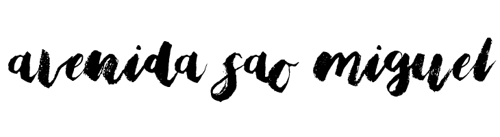 Bristle Brush Script Demo  Free Fonts Download