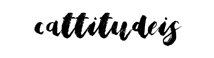 Bristle Brush Script Demo  Free Fonts Download