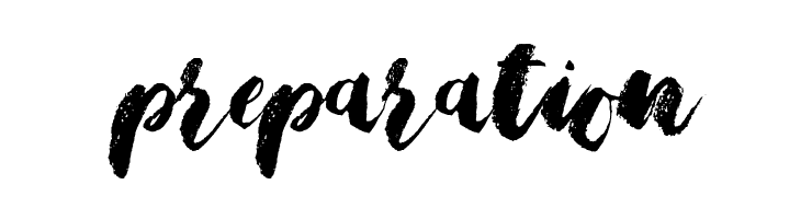 Bristle Brush Script Demo  Free Fonts Download