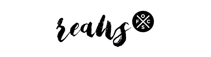 Bristle Brush Script Demo  Free Fonts Download