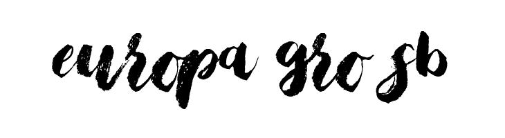 Bristle Brush Script Demo  Free Fonts Download