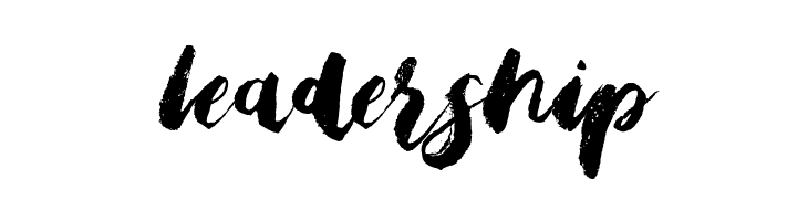 Bristle Brush Script Demo  Free Fonts Download