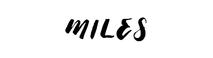 ThickBrushDemo  Free Fonts Download