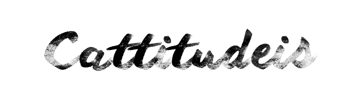 Another Wet Shabby  Free Fonts Download