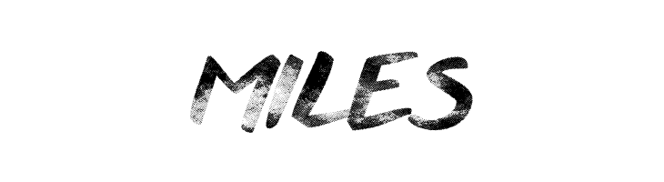 Another Wet Shabby  Free Fonts Download