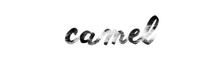 Another Wet Shabby  Free Fonts Download