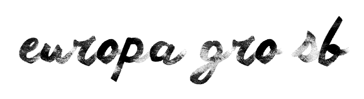 Another Wet Shabby  Free Fonts Download