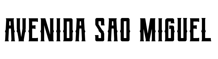 Berg Western Regular  Free Fonts Download