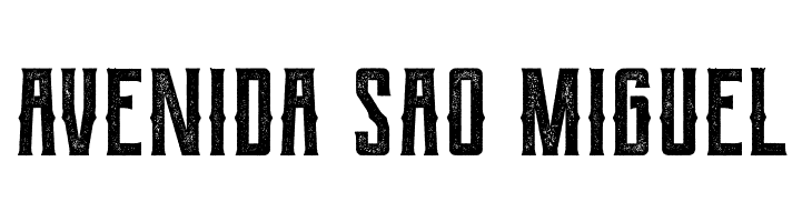 Berg western Rough  Free Fonts Download