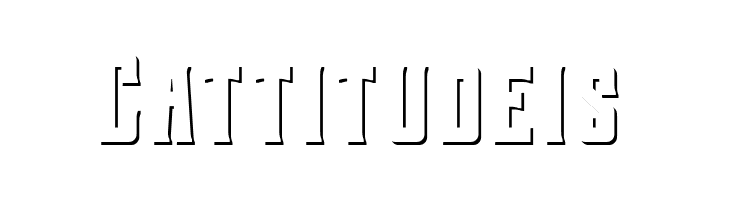 Berg Shadow  Free Fonts Download