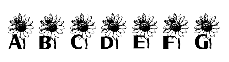 AEZ sunflower letters  Free Fonts Download