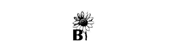 AEZ sunflower letters  Free Fonts Download
