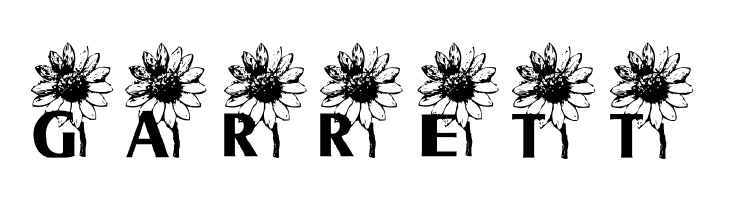 AEZ sunflower letters  Free Fonts Download