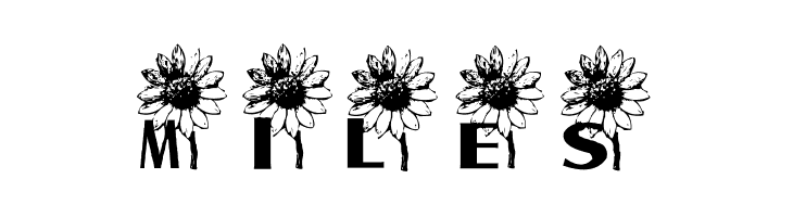 AEZ sunflower letters  Free Fonts Download