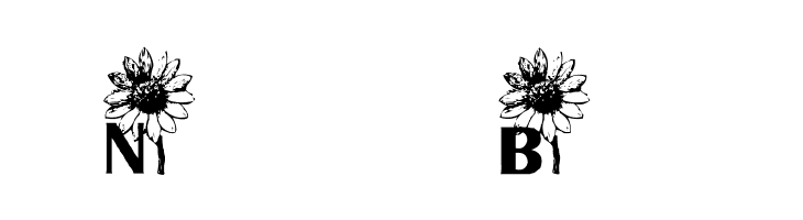 AEZ sunflower letters  Free Fonts Download