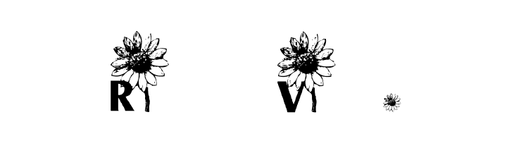 AEZ sunflower letters  Free Fonts Download