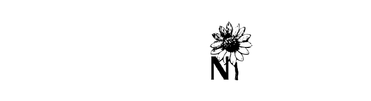 AEZ sunflower letters  Free Fonts Download