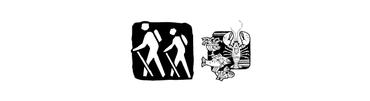 AEZ camping  Free Fonts Download